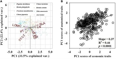 Responses of economic and anatomical leaf traits to soil fertility factors in eight coexisting broadleaf species in temperate forests